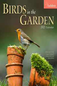 Audubon Birds In The Garden Wall Calendar 2021