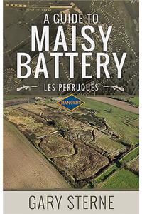 A Guide to Maisy Battery