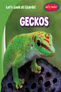 Geckos