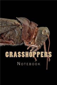 Grasshoppers Notebook