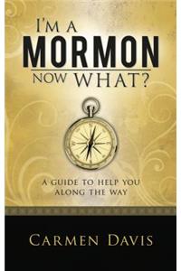I'm a Mormon, Now What?