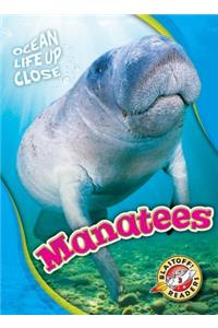 Manatees