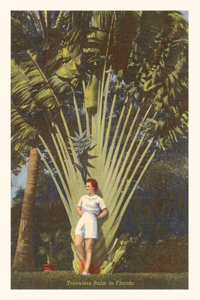 Vintage Journal Travelers Palm, Florida