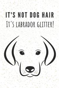 It's not dog hair I'ts labrador glitter!