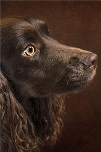 Portrait of a Brown Dog Journal