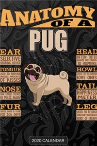 Anatomy Of A Pug