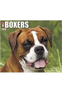 Just 2018 Boxers 2018 Box Calendar (Dog Breed Calendar)