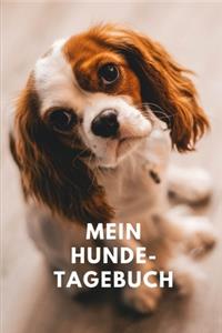 Mein Hundetagebuch
