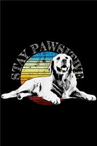 stay pawsitive