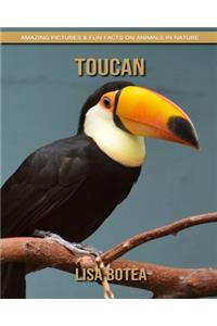 Toucan