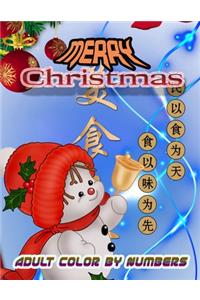 Merry Christmas Adult Color By Numbers