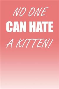 No One Can Hate a Kitten!