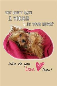 You Don't Have a Yorkie at Your Home? Who Do You Love Then?