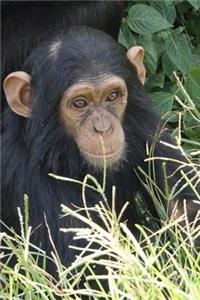 Monkey Notebook - Journal Gift for Cute Animal Lovers