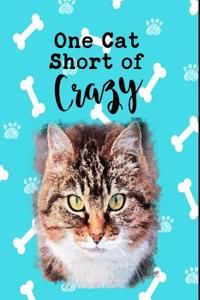 One Cat Short of Crazy