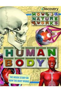 Human Body