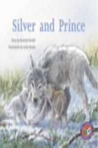 Silver and Prince PM Level 24 Set C Silver