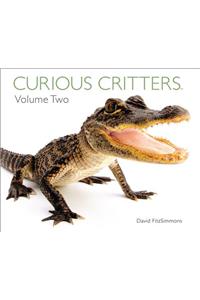 Curious Critters Volume Two