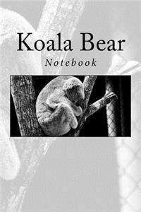 Koala Bear
