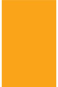 Business Notebook Orange