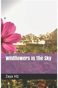 Wildflowers in The Sky