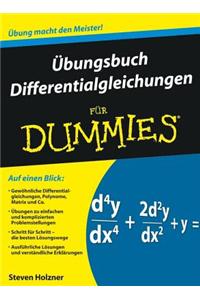 Ubungsbuch Differentialgleichungen Fur Dummies