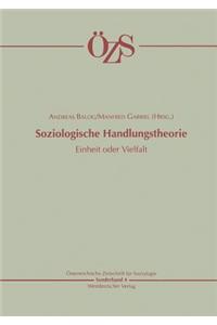 Soziologische Handlungstheorie