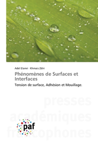 Phénomènes de Surfaces et Interfaces