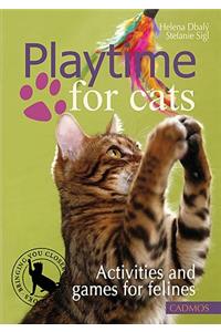 Playtime for Cats