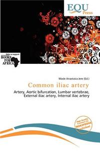 Common Iliac Artery