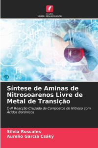 Síntese de Aminas de Nitrosoarenos Livre de Metal de Transição