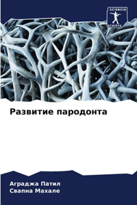 Развитие пародонта