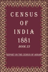 Census of India 1881: Report On The Census Of British Burma Volume Book 14