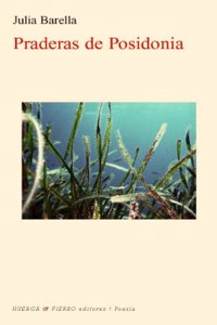 PRADERAS DE POSIDONIA