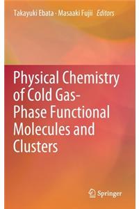 Physical Chemistry of Cold Gas-Phase Functional Molecules and Clusters