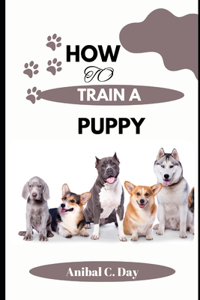 How To Train A Puppy