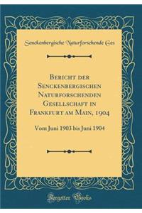 Bericht der Senckenbergischen Naturforschenden Gesellschaft in Frankfurt am Main, 1904: Vom Juni 1903 bis Juni 1904 (Classic Reprint)