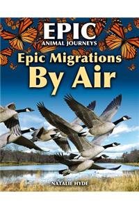Epic Migrations by Air