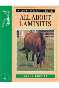 All About Laminitis