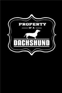 Property of a Dachshund