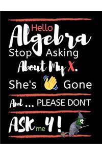 Hello Algebra Stop Asking about My X. She's Gone and Please Don't Ask Me Y