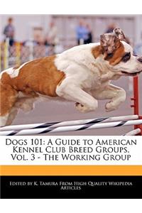 Dogs 101