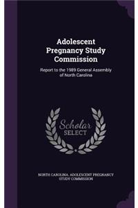 Adolescent Pregnancy Study Commission
