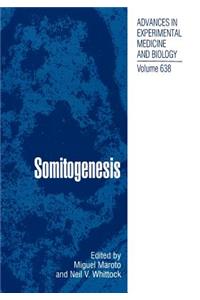 Somitogenesis
