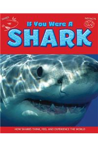 If You Were a Shark
