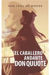 El Caballero Andante Don Quijote