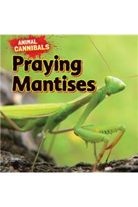 Praying Mantises