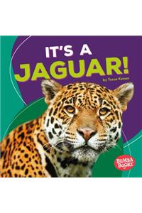 It's a Jaguar!