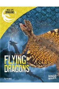 Flying Dragons