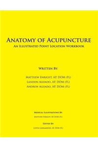 Anatomy of Acupuncture